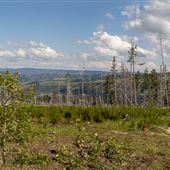 Engstrom Private Property - Casper Mountain
