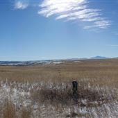 Fields off of Converse County Road 1