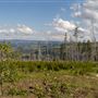 Engstrom Private Property - Casper Mountain