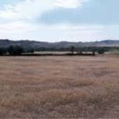 Powder River Rangeland