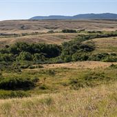 State of Wyoming Land - Coates Road