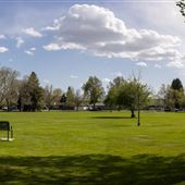 Dorse Miller Park