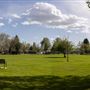 Dorse Miller Park