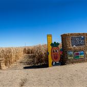 Green Acres Farm