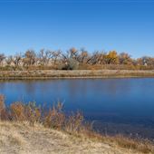 Big Muddy Pond