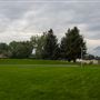 Robbie Powwow Garden