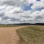 CO Road 16