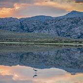 Pathfinder Ranch