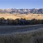 Southfork Road