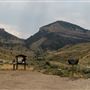 Sheep Mountain Trailhead