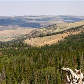 Muddy Mountain