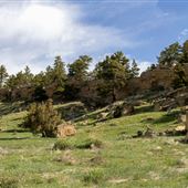 Pine Mountain Area - County Road 209
