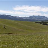 County Road 7 - Laramie Peak Views - Medicine Bow National Forest