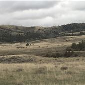 Fiddleback Ranch