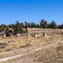 Robert L Adams Memorial Archery Range