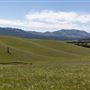 County Road 7 - Laramie Peak Views - Medicine Bow National Forest