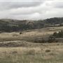 Fiddleback Ranch