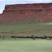 Willow Creek Ranch