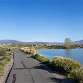 Beck Lake Trails