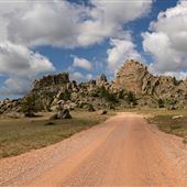 County Road 24 - Medicine Bow National Forest SW of Douglas