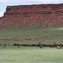 Willow Creek Ranch