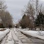 Paradise Valley Neighborhood