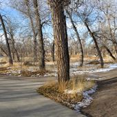 North Platte Park