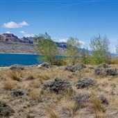 Buffalo Bill State Park