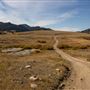 County Road 17 in the Fall - Boxelder Creek