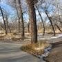 North Platte Park