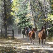 7D Ranch--Scenic