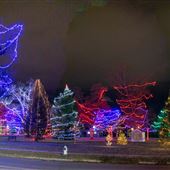 Healing Park