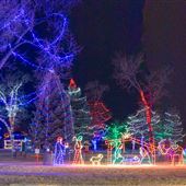 Healing Park at Christmas