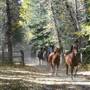 7D Ranch--Scenic