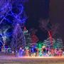 Healing Park at Christmas