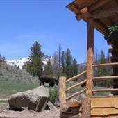 Crossed Sabres Ranch