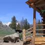 Crossed Sabres Ranch