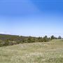 Tower Hill - Casper Mountain
